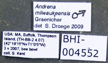 Media type: image;   Entomology 609528 Aspect: labels